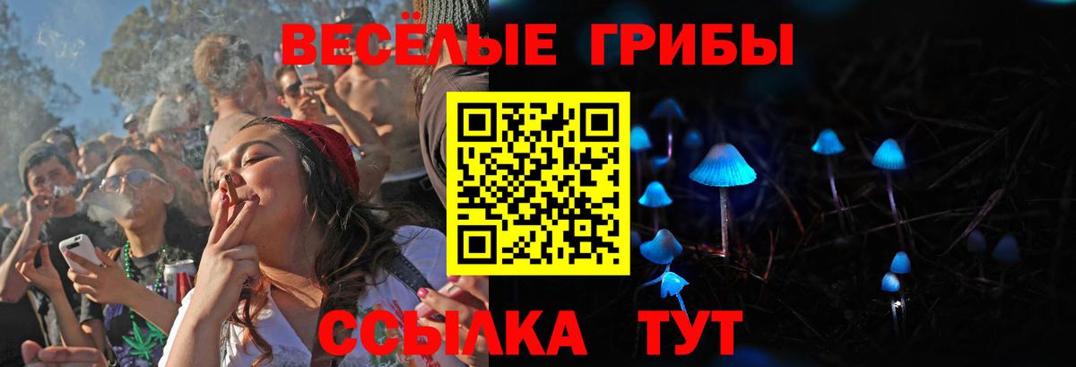Новоалександровск  Галлюциногенные грибы Magic Shrooms  Вход с VPN 